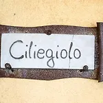 בית חווה Poggio Delle Conche *