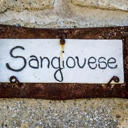 Vakantieboerderij Poggio Delle Conche